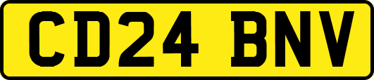 CD24BNV