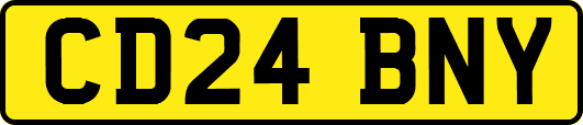 CD24BNY