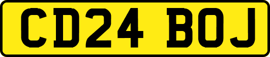 CD24BOJ