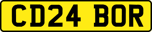 CD24BOR