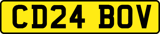 CD24BOV