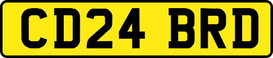 CD24BRD