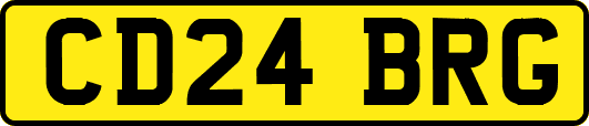 CD24BRG