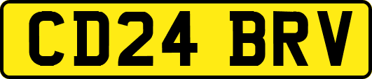 CD24BRV