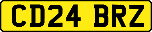 CD24BRZ