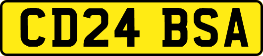 CD24BSA