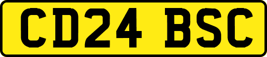 CD24BSC