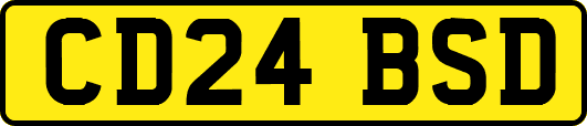 CD24BSD