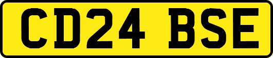 CD24BSE