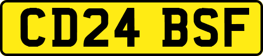 CD24BSF