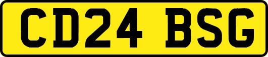 CD24BSG