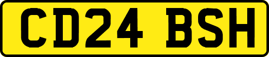 CD24BSH