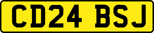 CD24BSJ
