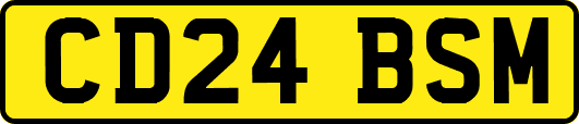 CD24BSM