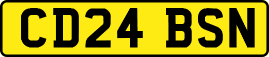 CD24BSN