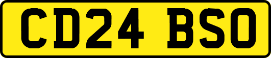 CD24BSO