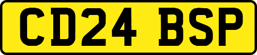 CD24BSP