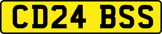 CD24BSS