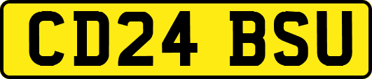 CD24BSU