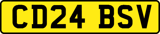 CD24BSV