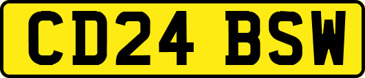 CD24BSW