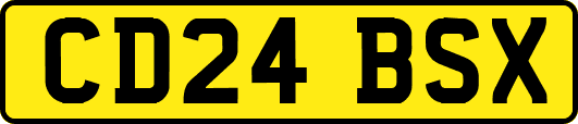 CD24BSX