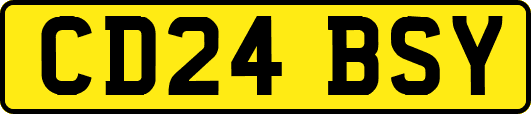 CD24BSY