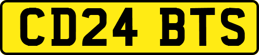 CD24BTS