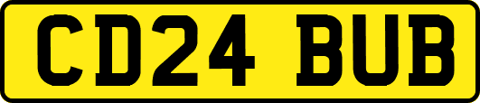 CD24BUB