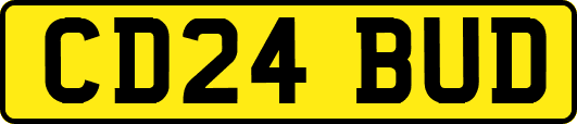 CD24BUD