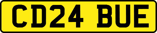 CD24BUE