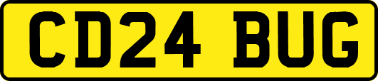CD24BUG