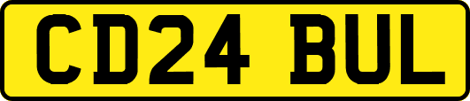 CD24BUL