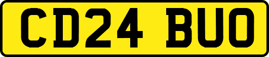 CD24BUO