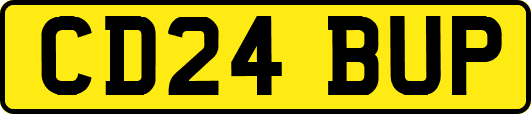 CD24BUP