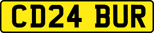 CD24BUR