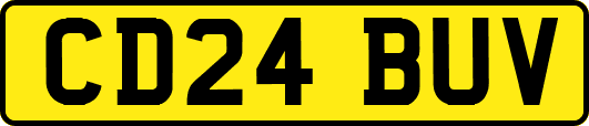 CD24BUV