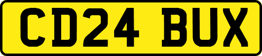 CD24BUX