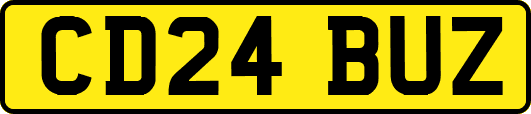 CD24BUZ
