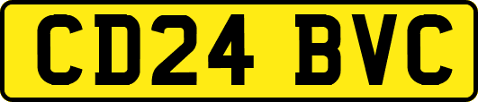 CD24BVC