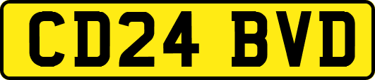 CD24BVD