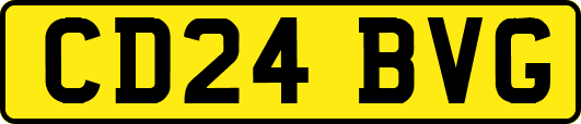 CD24BVG