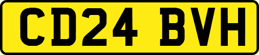 CD24BVH