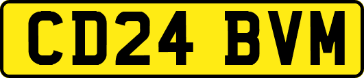CD24BVM