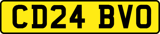 CD24BVO