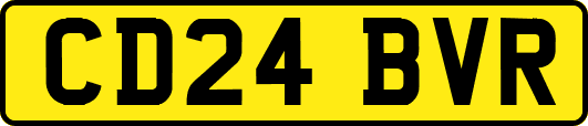 CD24BVR