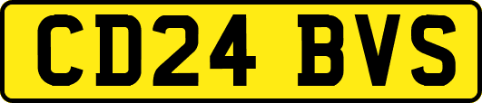 CD24BVS
