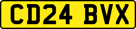CD24BVX
