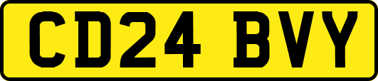 CD24BVY