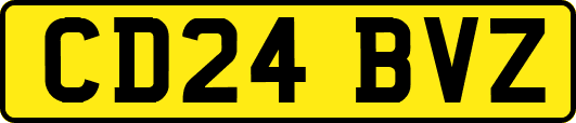 CD24BVZ